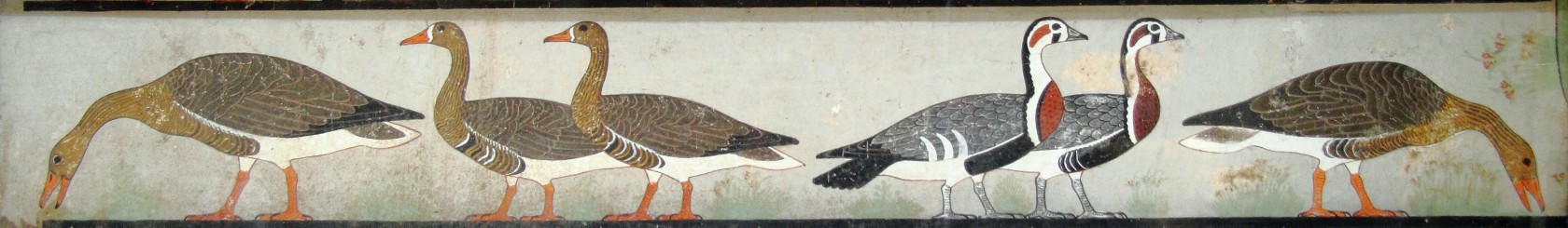 <em>The ‘Meidum geese’, tomb of Nefermaat and Itet, Meidum, Cairo Museum </em>														<br>JE 34571/ CG 1742