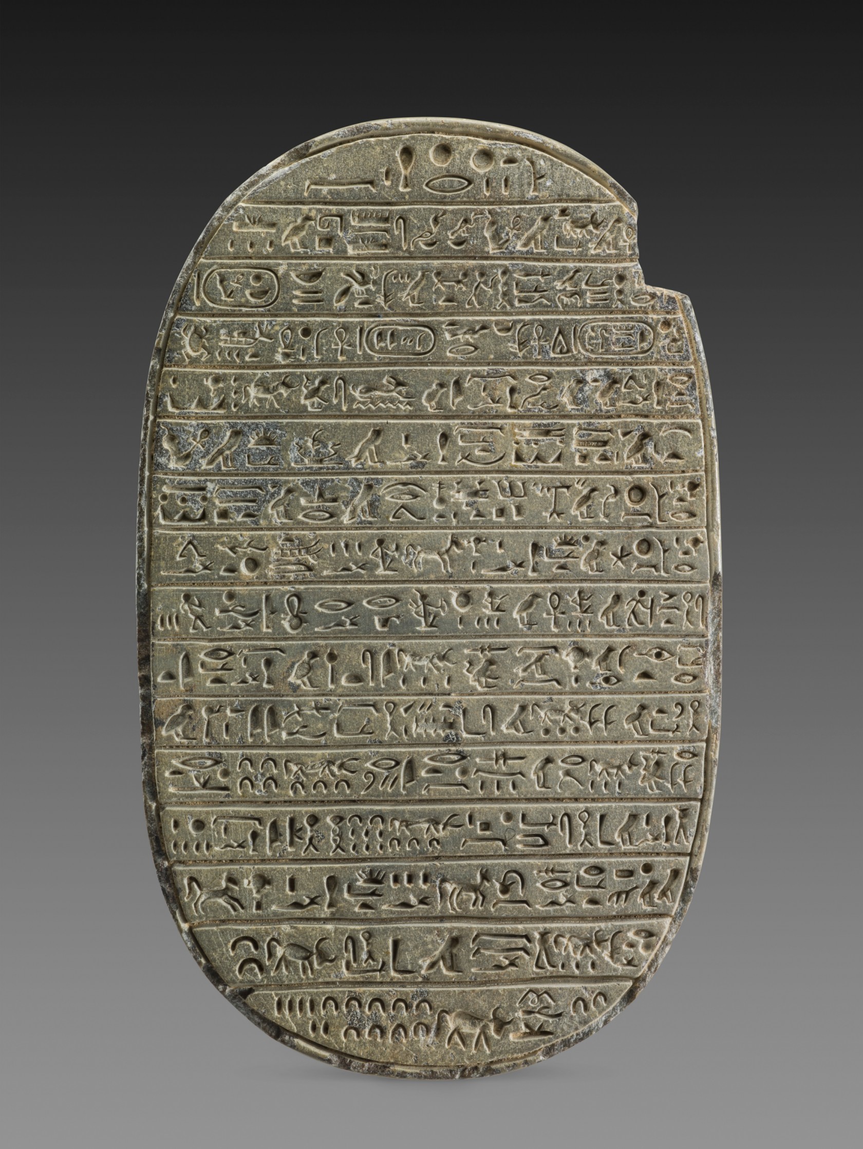 Scaraboïde commémoratif des chasses au taureau d'Amenhotep III