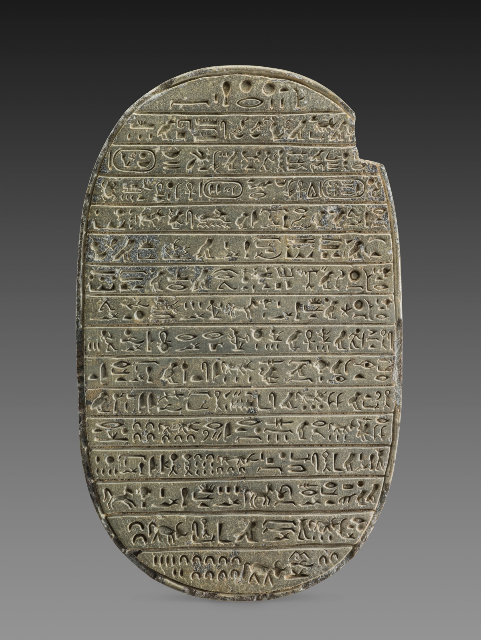 <em>Scaraboïde commémoratif des chasses au taureau d'Amenhotep III</em> <br>Nouvel Empire , 18e dynastie , règne d’Amenhotep III, (1387 – 1350 av. J.-C.), FGA-ARCH-EG-0228 Scaraboïde commémoratif des chasses au taureau d'Amenhotep III