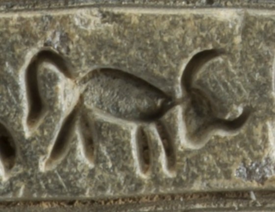 <em>Détail : hiéroglyphe de taureau. </em>