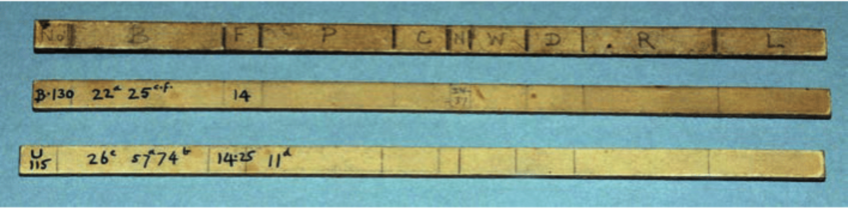 <em>Détail de trois lignes de l’un des éléments de la grille-tabulateur établie par W.M.F. Petrie pour la mise au point de sa chronologie du prédynastique égyptien</em>