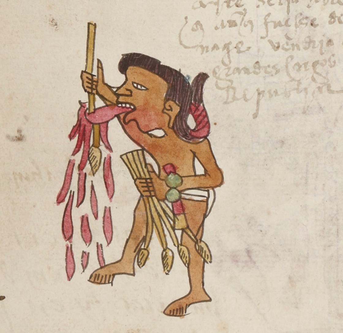 <em>Codex Telleriano-Remensis, folio 9r (detail), self-sacrifice by a priest</em>