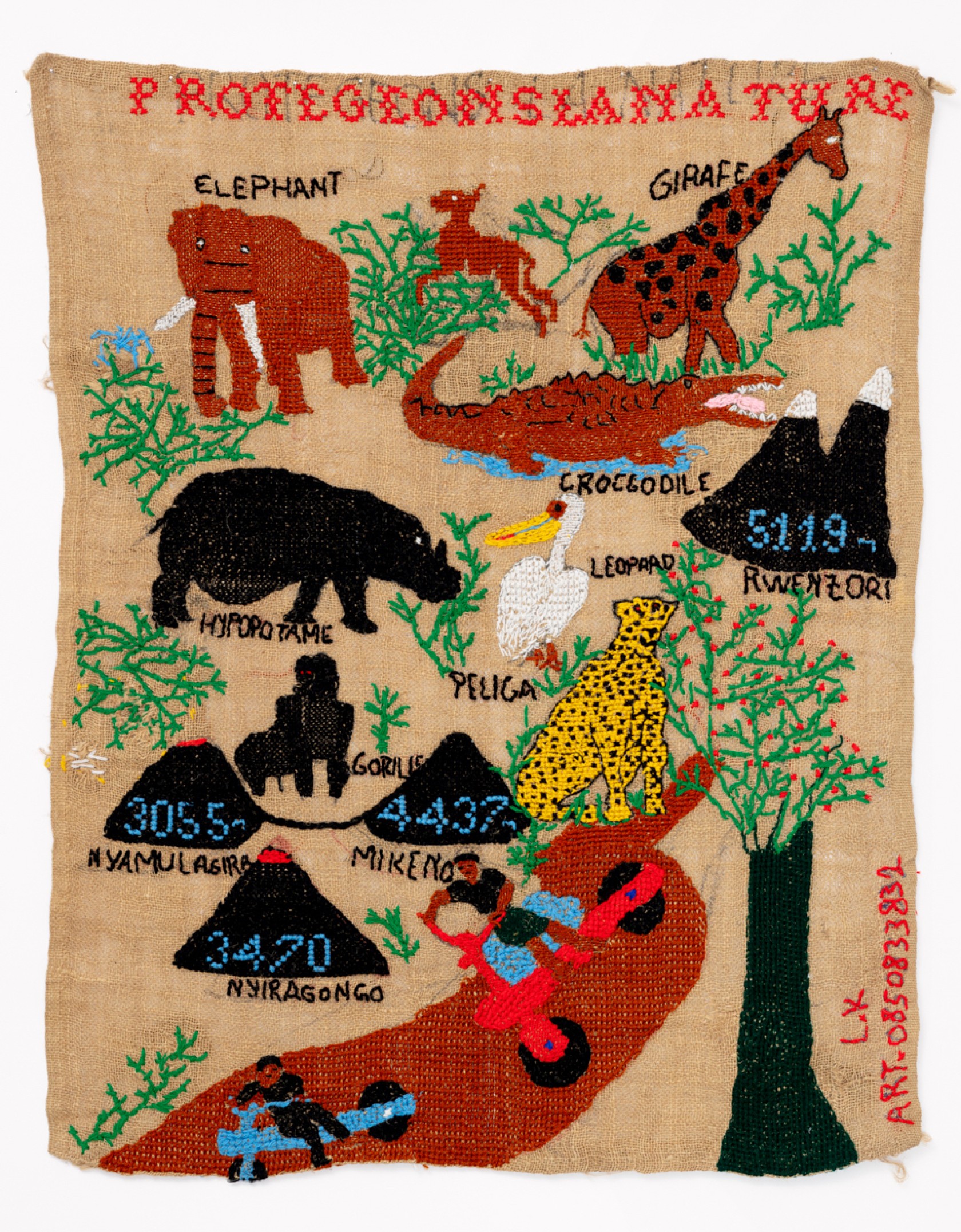 Lucie KAMSWEKERA <br> <em>Protégeons la nature</em> <br>2022