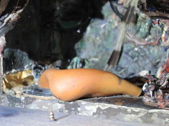 Bernard Réquichot							<br>							<em><em>Reliquaire des rencontres de campagne</em> (détail)</em>														<br>1960-1961